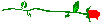 Horizontal Rule